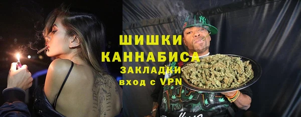 PSILOCYBIN Бронницы