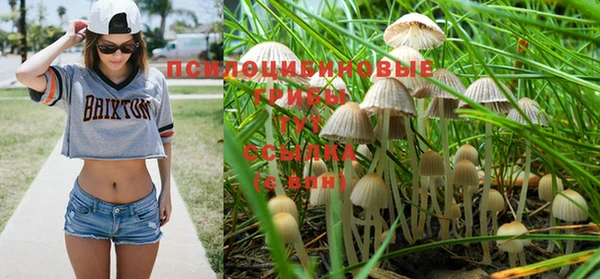 PSILOCYBIN Бронницы