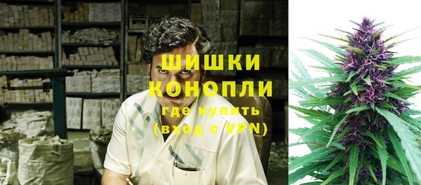 PSILOCYBIN Бронницы
