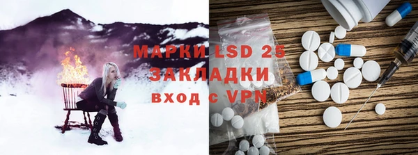 apvp Бородино